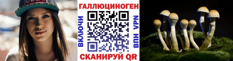 гидра рабочий сайт  Чекалин  Псилоцибиновые грибы Magic Shrooms 